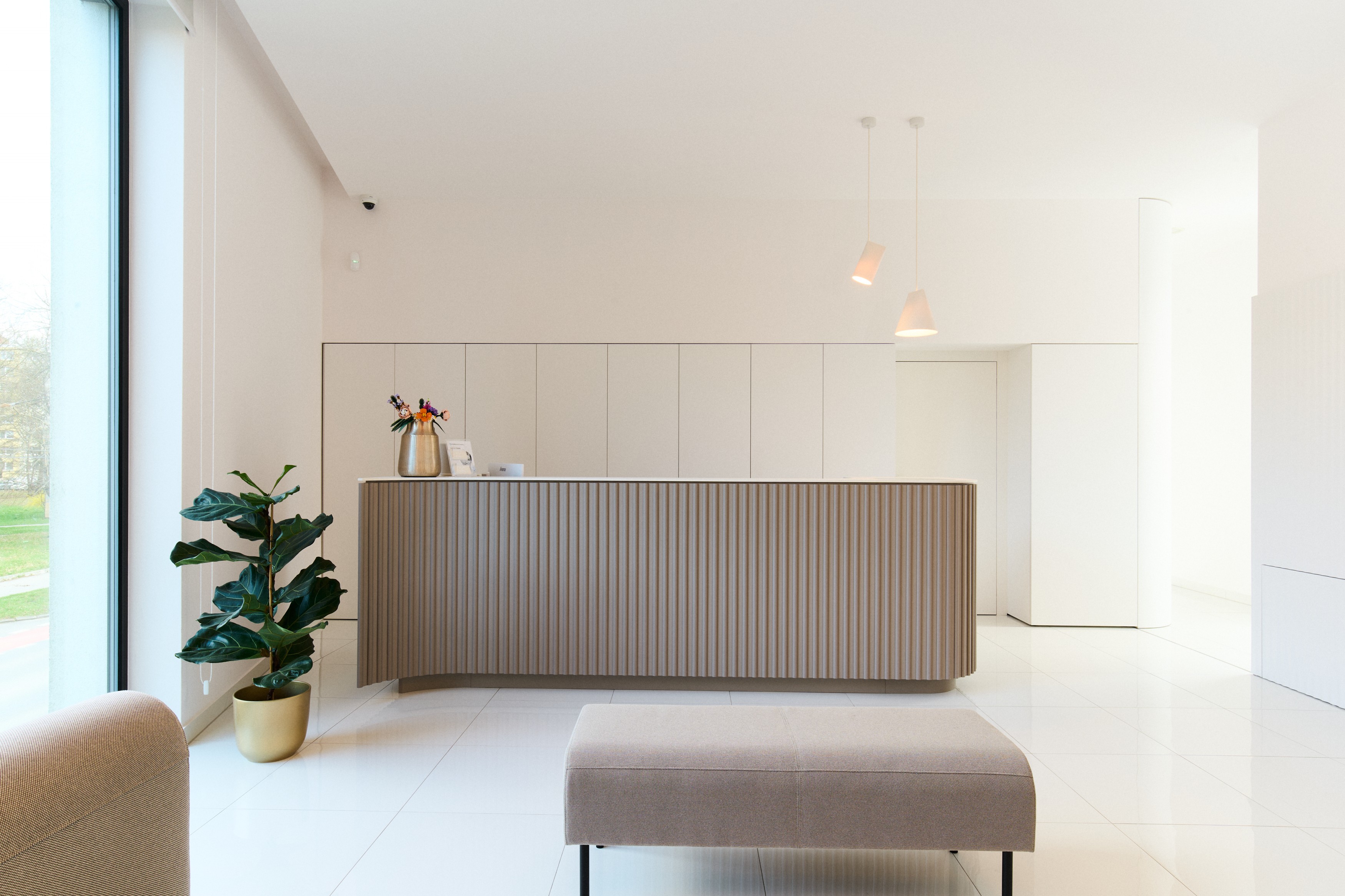 Čeľustná ortopédia