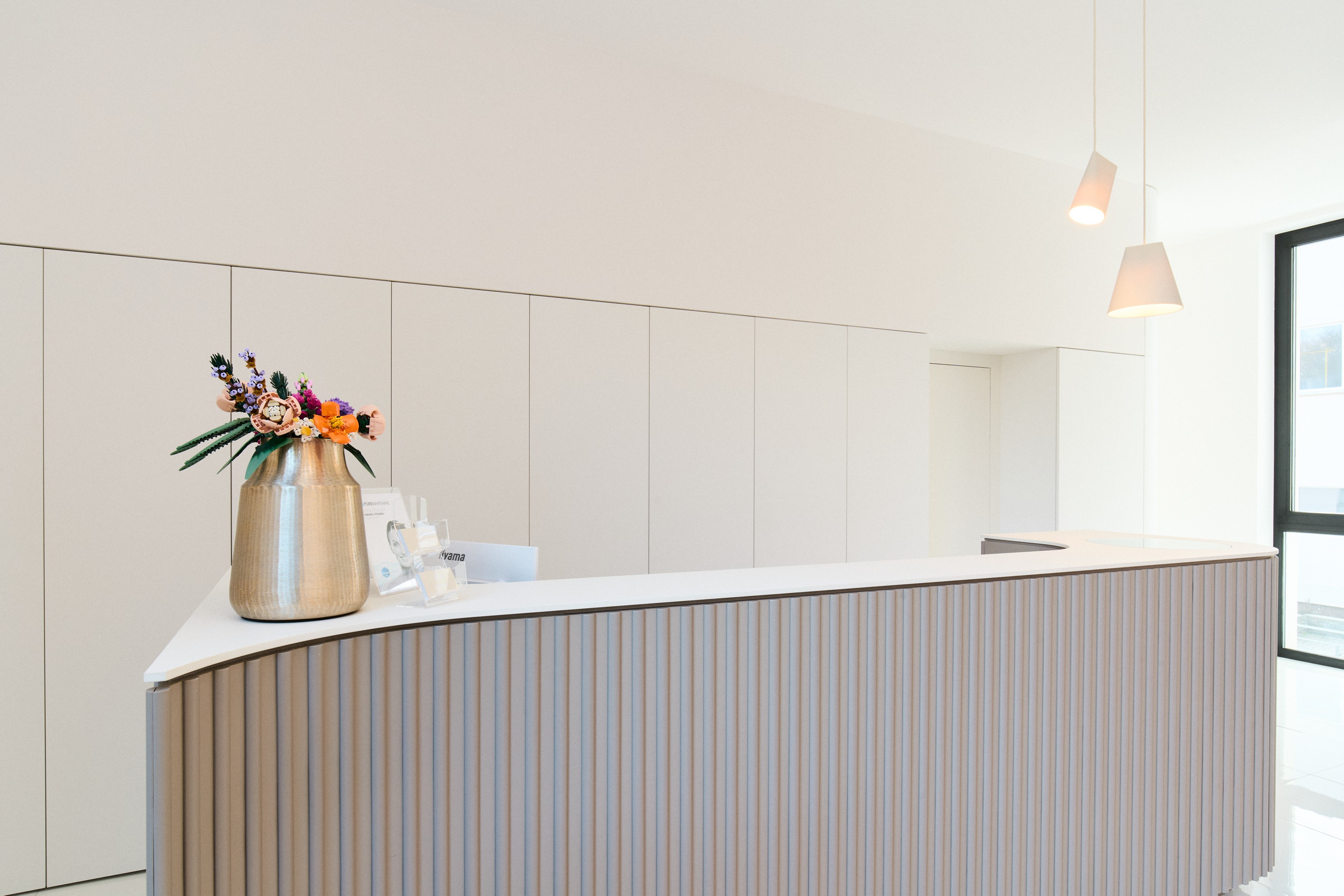 Čeľustná ortopédia